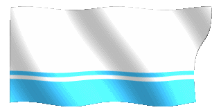 altayflag